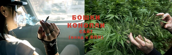 спиды Арсеньев