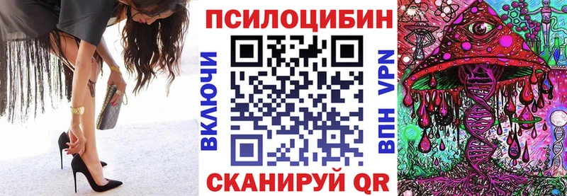 Псилоцибиновые грибы Cubensis  цены наркотик  кракен ТОР  Михайлов 